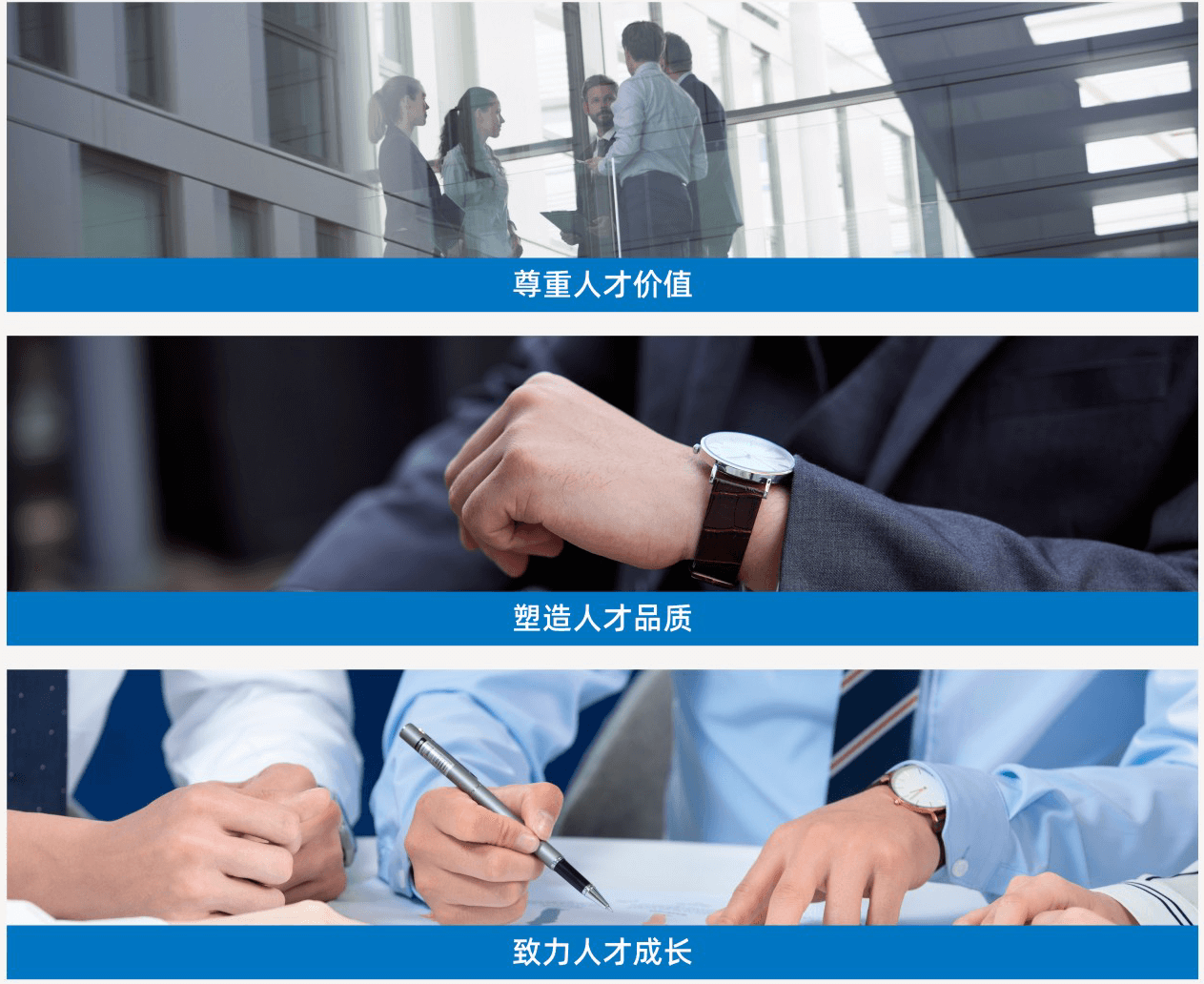 人才理念 (1).png