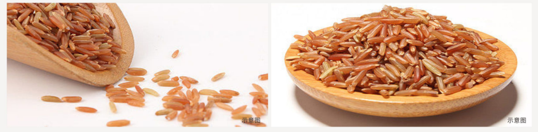 0005d8b0948c6ddc93fd5c1862cebb02 1676479617114.png