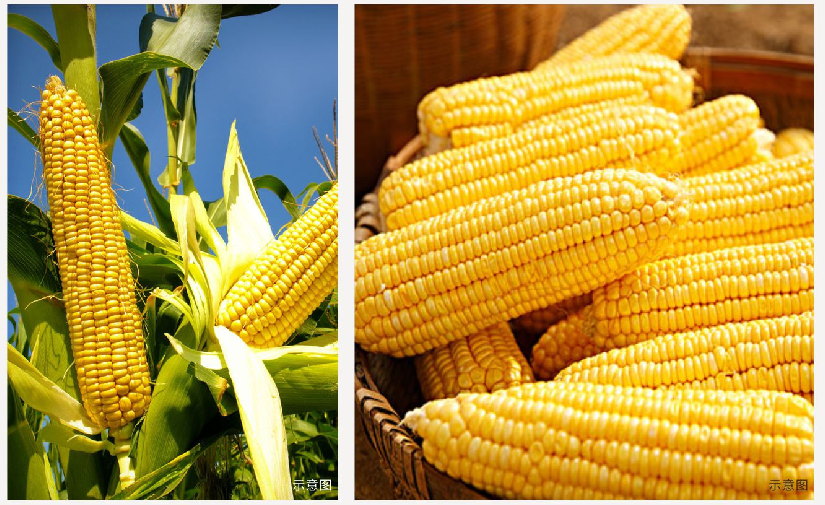 00327442847381c1ad5ca258eb9554f1 1.jpg