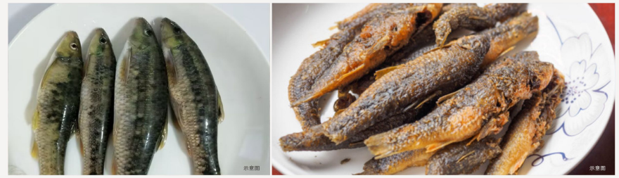 0a7544016e9c85fb4800ae35eed642f2 image.png