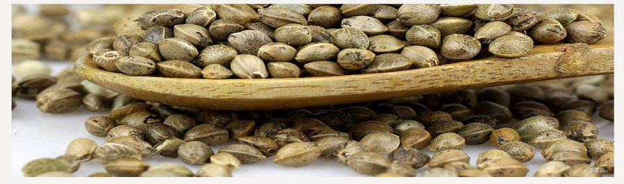 27882d29ad6f729e7518200c4e3294a8 image.png