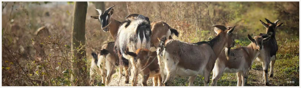 3f408de145f25372c0d6729b874dabd6 1676479983645.png