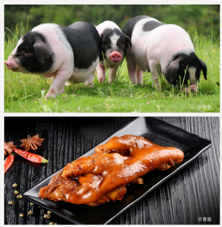 de79c477a305c4318258bf3aa2ab78a6 image.png