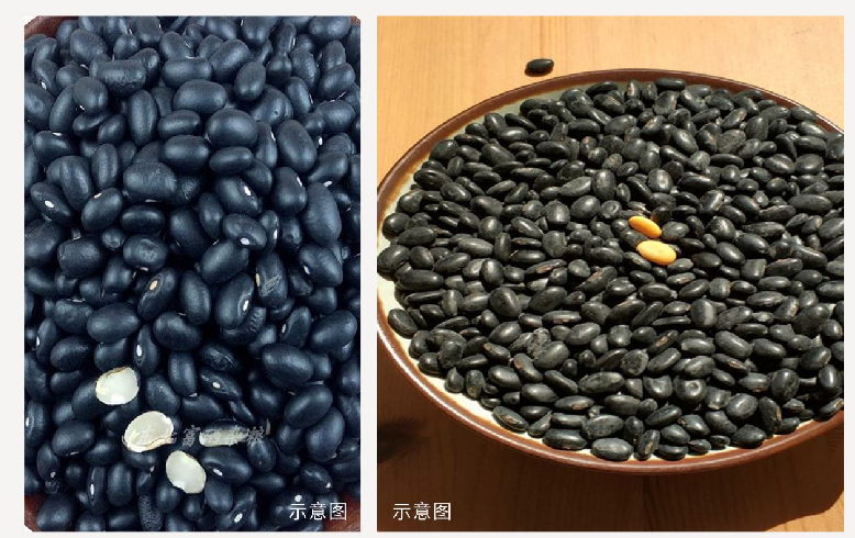 e60c585112062a4bec38d06a6993c3aa image.png